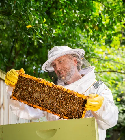 Man in a beekeeper suit tending to his hive