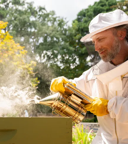Beekeeper and his financial advisor talking at the table