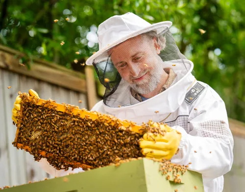 Man in beekeeper suit looking at his hive