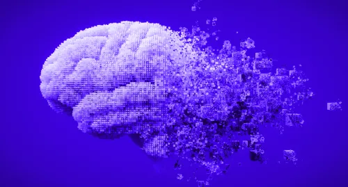 Graphic of a human brain being digitized 